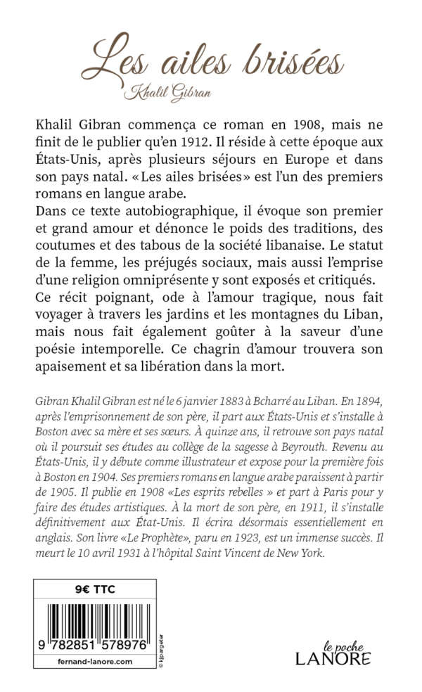 9782851578976_4_75 Les ailes brisées
